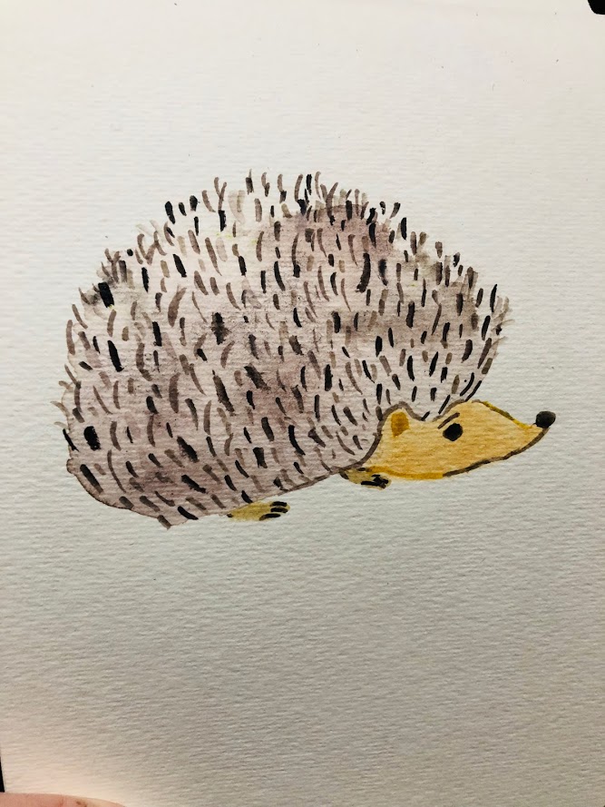 hoggie