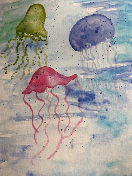 jellyfish